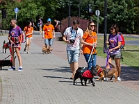 Adoptuj Warszawiaka  Wydarzenie promujące adopcję zwierząt. Organizator: Schronisko dla Bezdomnych Zwierząt "Na Paluchu". 18 sierpnia 2019, Park Raszyński w Raszynie. : park raszyński, adoptuj warszawiaka, na paluchu, schronisko dla zwierząt, centrum warszawy, raszyn